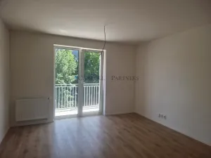Pronájem bytu 1+kk, Ostrava - Hrabůvka, Provaznická, 30 m2