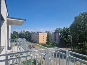 Pronájem bytu 1+kk, Ostrava - Hrabůvka, Provaznická, 30 m2