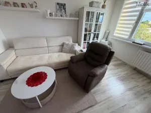 Prodej bytu 3+1, Most, Růžová, 55 m2