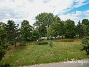 Pronájem bytu 2+1, Židlochovice, sídl. Družba, 52 m2