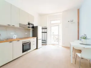 Pronájem bytu 1+kk, Planá, Karlín, 30 m2