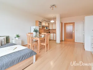 Prodej bytu 1+kk, Praha - Prosek, Nad šestikopy, 37 m2