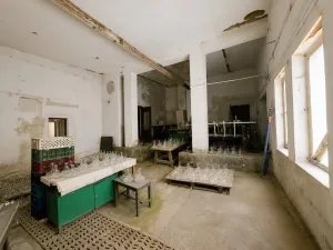 Prodej obchodního prostoru, Skalice u České Lípy, 600 m2