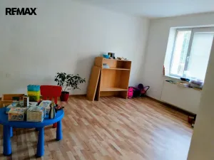 Prodej vícegeneračního domu, Nový Knín, Sudovická, 280 m2