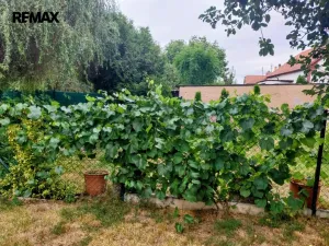 Prodej vícegeneračního domu, Nový Knín, Sudovická, 280 m2