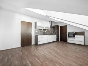 Prodej bytu 3+kk, Písek - Pražské Předměstí, Pražská, 72 m2