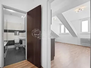 Prodej bytu 3+kk, Písek - Pražské Předměstí, Pražská, 72 m2