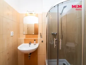Pronájem bytu 1+kk, Praha - Smíchov, Na Neklance, 31 m2