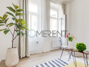 Pronájem bytu 1+kk, Praha - Vysočany, Kolmá, 19 m2