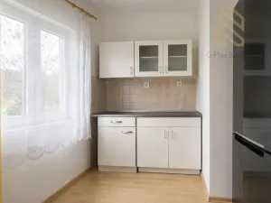 Prodej vícegeneračního domu, Ústí nad Labem, 190 m2