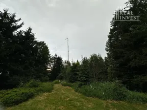 Prodej chalupy, Staré Hamry, 100 m2