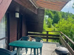 Prodej chaty, Velká Lhota, 46 m2