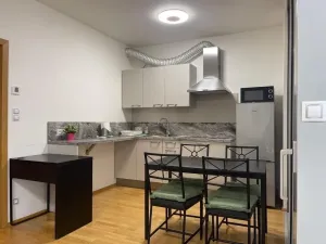 Pronájem bytu 2+kk, Praha - Žižkov, Olšanská, 50 m2