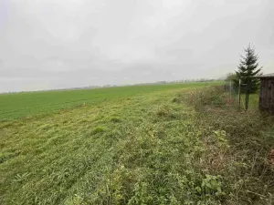 Prodej pozemku, Opolany, 1293 m2