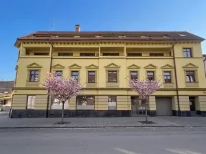 Prodej bytu 1+kk, Brno, Vranovská, 29 m2