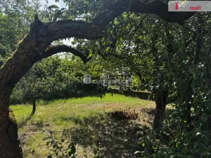 Prodej rodinného domu, Velešín, náměstí J. V. Kamarýta, 505 m2