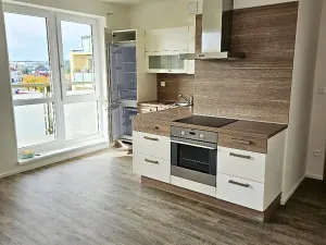 Pronájem bytu 3+kk, Plzeň, Těšínská, 75 m2