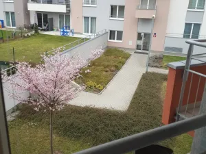 Pronájem bytu 1+kk, Praha - Letňany, Hlučkova, 38 m2