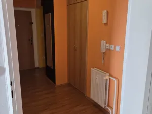 Pronájem bytu 2+kk, Hodonín, Brandlova, 48 m2