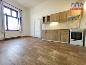 Pronájem bytu 1+1, České Budějovice - České Budějovice 3, 53 m2