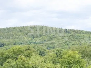 Prodej bytu 3+1, Komárov, 70 m2