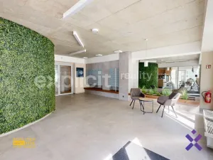 Pronájem bytu 1+kk, Zlín, Nad Stráněmi, 41 m2