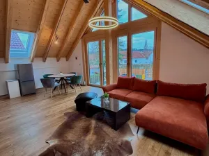 Pronájem bytu 2+kk, Homole, Pivovarská, 66 m2