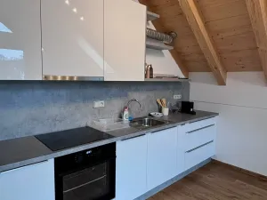 Pronájem bytu 2+kk, Homole, Pivovarská, 66 m2