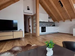 Pronájem bytu 2+kk, Homole, Pivovarská, 66 m2