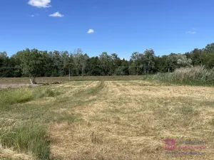 Prodej komerčního pozemku, Břeclav - Poštorná, 4463 m2