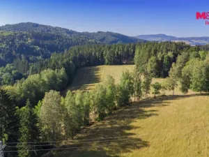 Prodej louky, Loužnice, 26426 m2