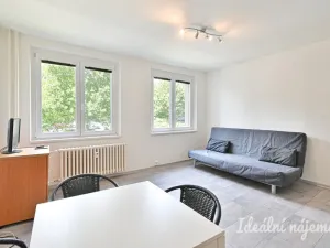 Pronájem bytu 1+kk, Brno, Spodní, 32 m2