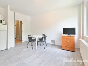 Pronájem bytu 1+kk, Brno, Spodní, 32 m2