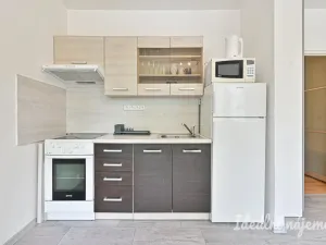 Pronájem bytu 1+kk, Brno, Spodní, 32 m2