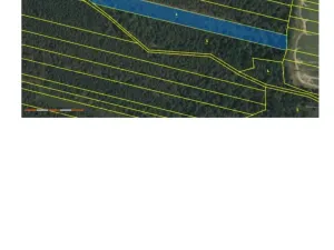 Prodej lesa, Třeboň - Břilice, 32388 m2