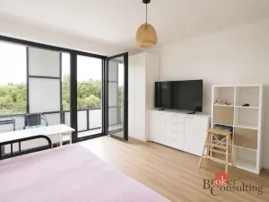 Pronájem bytu 3+kk, Plzeň - Východní Předměstí, Kartónová, 104 m2