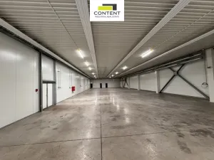 Pronájem výrobních prostor, Herink, Hlavní, 1106 m2