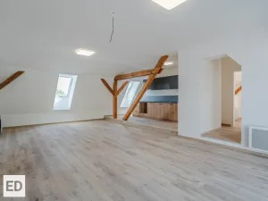Prodej bytu 4+kk, Ostrava - Přívoz, Žofie Podlipské