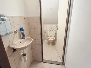 Prodej domu, Hradec Králové, Dlouhá, 700 m2