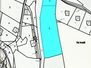 Prodej lesa, Benešov u Semil, 4922 m2
