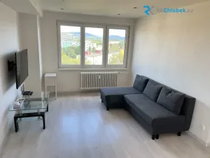 Pronájem bytu 2+kk, Frýdek-Místek - Místek, Bezručova, 42 m2