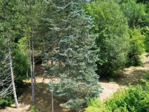 Prodej chaty, Šternberk - Dalov, 798 m2
