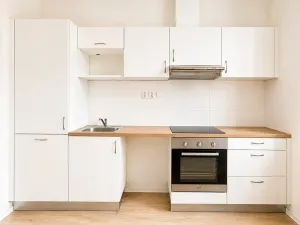 Pronájem bytu 1+kk, Brno, Mathonova, 25 m2