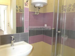 Pronájem bytu 1+kk, Plzeň - Jižní Předměstí, Na Jíkalce, 30 m2