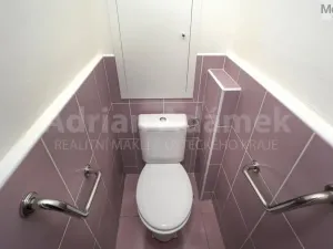 Prodej bytu 2+1, Duchcov, 49 m2