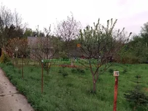 Prodej chaty, Růžďka, 38 m2