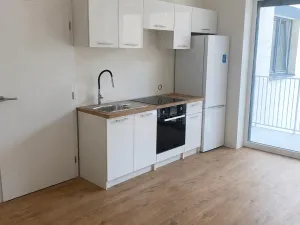Pronájem bytu 1+kk, Brno, Křenová, 28 m2