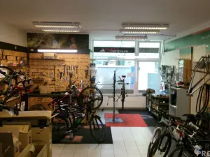Pronájem obchodního prostoru, Brno, Vodní, 403 m2