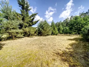Prodej pozemku pro bydlení, Pňovany, 1096 m2