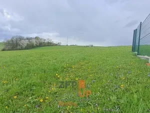 Prodej pozemku pro bydlení, Bruzovice, 4261 m2